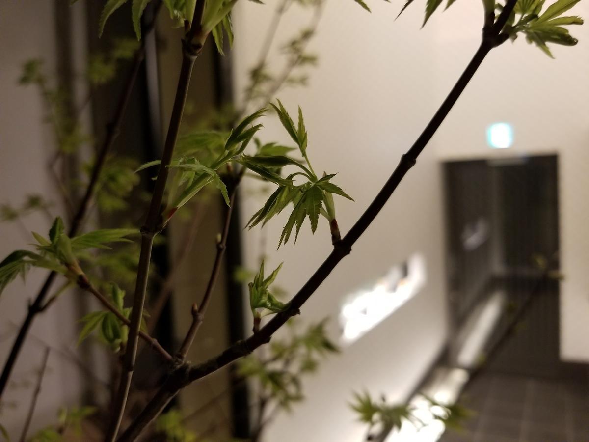 Kyo No Yado Botan Villa Kyoto Exterior photo